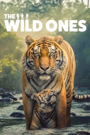 The Wild Ones The Wild Ones