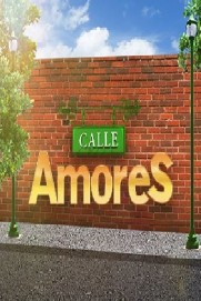 Calle Amores