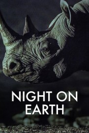 Night on Earth