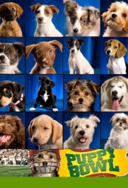 Puppy Bowl Puppy Bowl