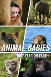 Animal Babies: First Year On Earth Animal Babies: First Year On Earth