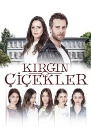 Kırgın Çiçekler Kırgın Çiçekler