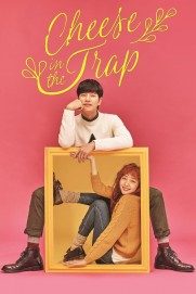 Cheese in the Trap