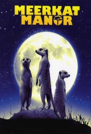 Meerkat Manor Meerkat Manor