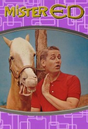Mister Ed Mister Ed