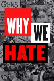Why We Hate Why We Hate