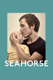 Seahorse Seahorse