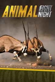 Animal Fight Night Animal Fight Night