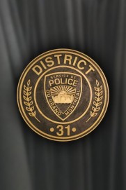 District 31 District 31