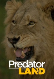 Predator Land Predator Land