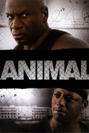 Animal Animal