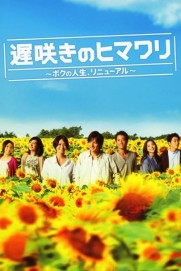 Late Blooming Sunflower My Life Renewed Late Blooming Sunflower My Life Renewed