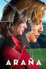 Spider Spider