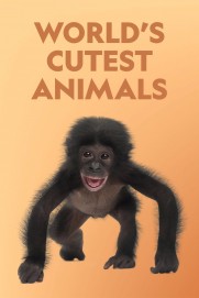 World's Cutest Animals World's Cutest Animals
