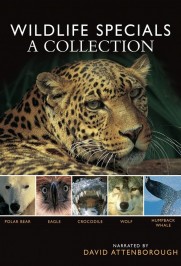 BBC Wildlife Specials BBC Wildlife Specials