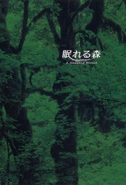 A Sleeping Forest A Sleeping Forest