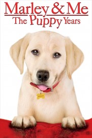 Marley & Me: The Puppy Years