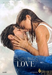 Endless Love Endless Love