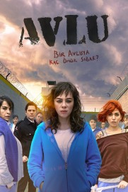 Avlu Avlu