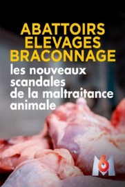 Abattoirs, élevages, braconnage, les nouveaux scandales de la maltraitance animale Abattoirs, élevages, braconnage, les nouveaux scandales de la maltraitance animale