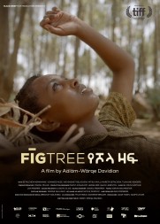 Fig Tree Fig Tree
