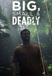 Big Small and Deadly Big Small and Deadly