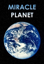 Miracle Planet Miracle Planet