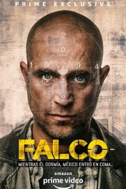 Falco Falco