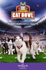 Hallmark Channel's 1st Annual Cat Bowl Hallmark Channel's 1st Annual Cat Bowl