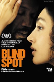 Blind Spot Blind Spot