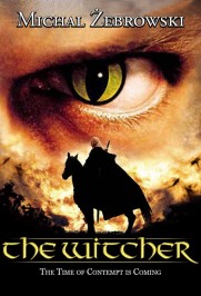 The Witcher The Witcher