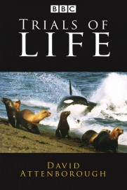 The Trials of Life The Trials of Life