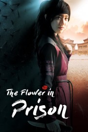 The Flower in Prison The Flower in Prison