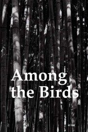Among the Birds Among the Birds