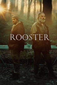 The Rooster