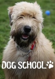 Dog School Dog School