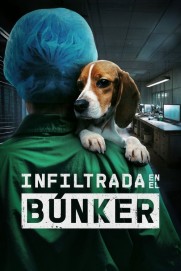Undercover. Inside the Bunker Undercover. Inside the Bunker