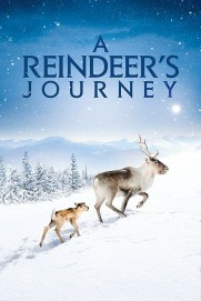 A Reindeer's Journey