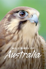Wild Birds of Australia Wild Birds of Australia