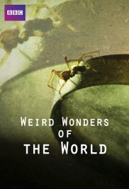 Weird Wonders of the World-full