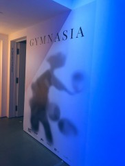 Gymnasia Gymnasia