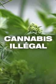 Cannabis illégal-full
