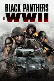 Black Panthers of WWII Black Panthers of WWII