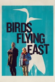 Birds Flying East Birds Flying East