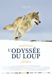 L'odyssée du loup-full