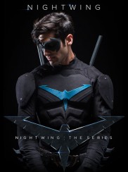 Nightwing: The Series-full