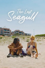 The Last Seagull-full