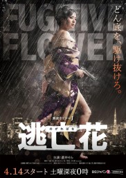 Fugitive Flower-full