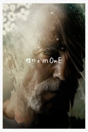 Anemone-full