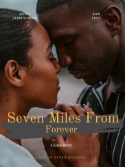Seven Miles From Forever-full